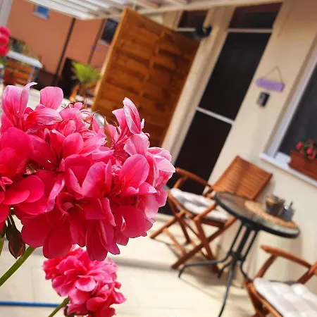 Διαμέρισμα Lavendel