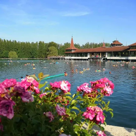 Апартаменты Lavendel *