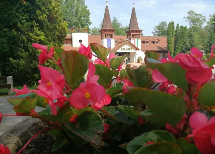 Lavendel Appartement *