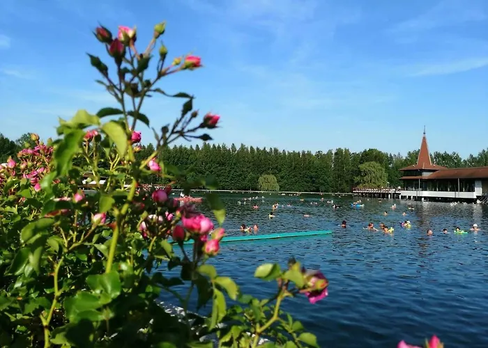 Lavendel Appartement *